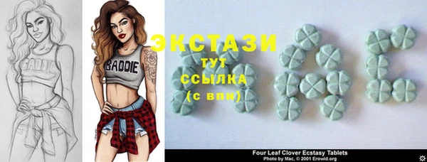 apvp Вяземский