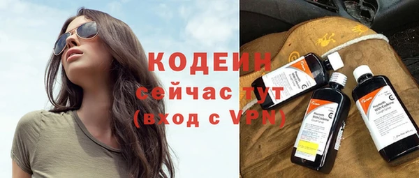 apvp Вяземский