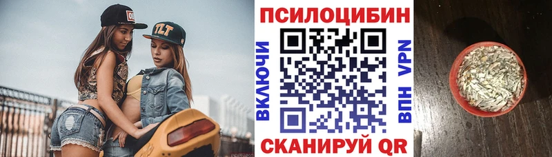 наркота  Славянск-на-Кубани  Галлюциногенные грибы мицелий 